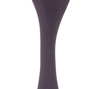 Remote Controlled Couple's Vibrator
