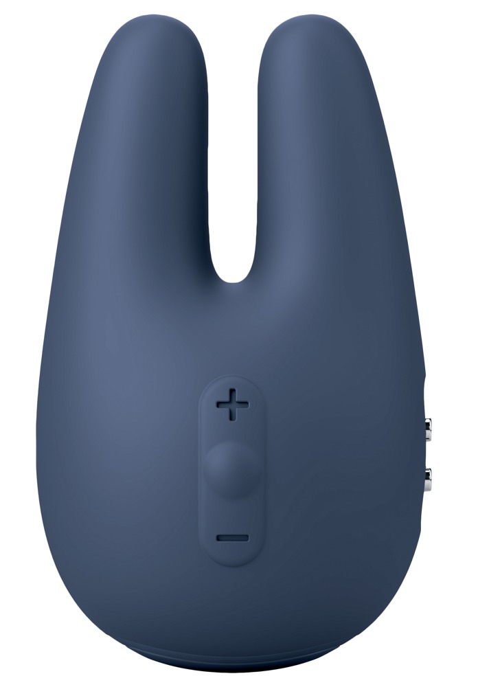 Form 2 Pro Form 2 Pro