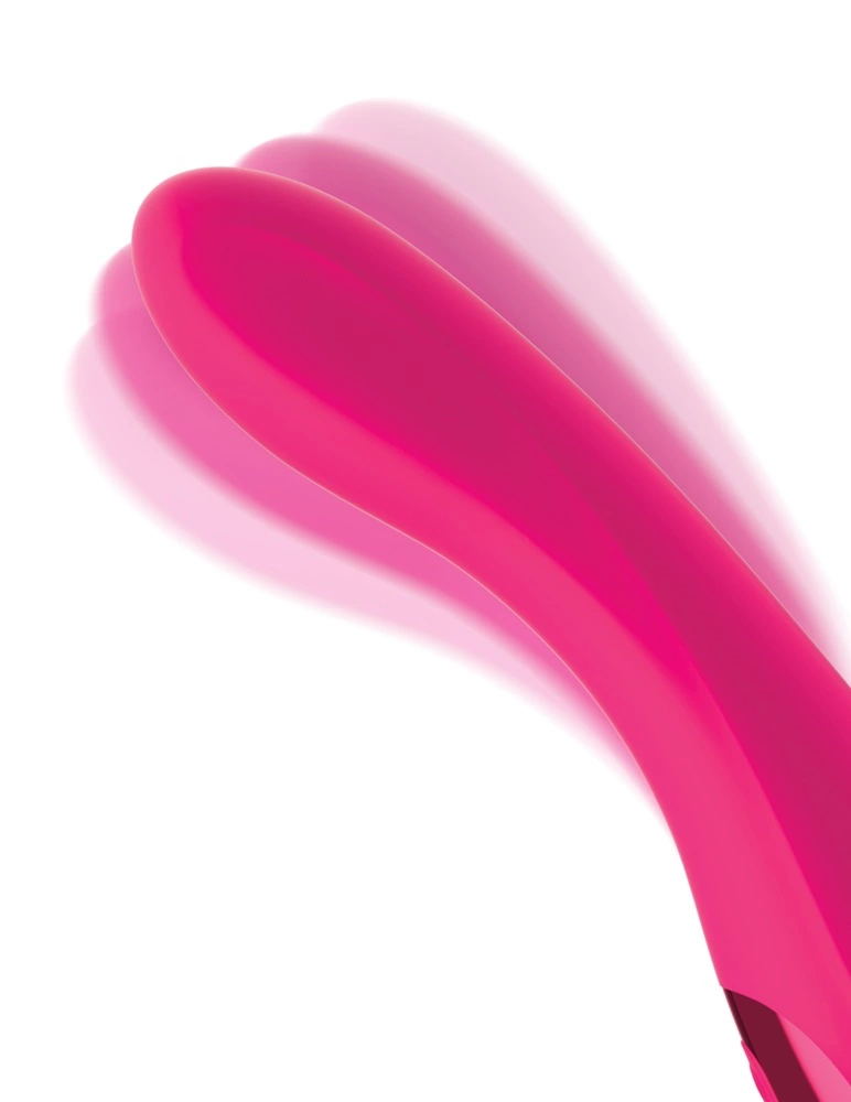 Vibrators - Asu ja Lelu