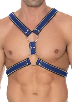 Z Series Scottish Leather Harness L/XL with Stainless Steel Details