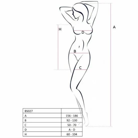 Passion BS027 Bodystocking White Mesh Dress